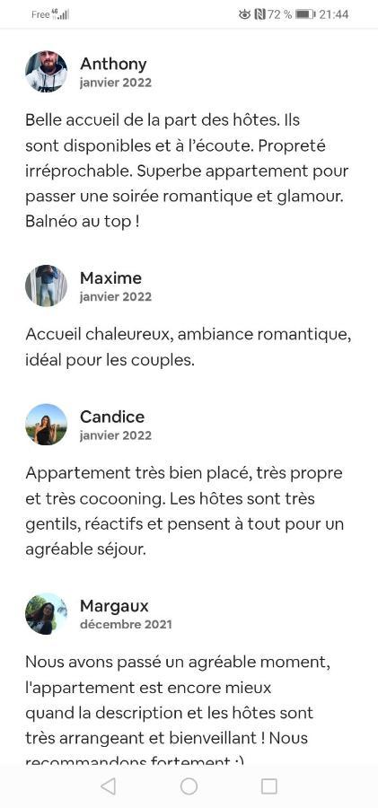 Romantisme Et Glamour 2 Avec Spa , Clim Et Jardin ディジョン エクステリア 写真