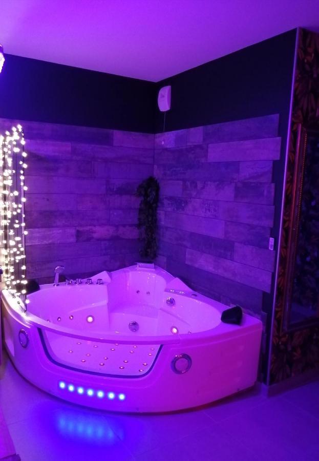 Romantisme Et Glamour 2 Avec Spa , Clim Et Jardin ディジョン エクステリア 写真