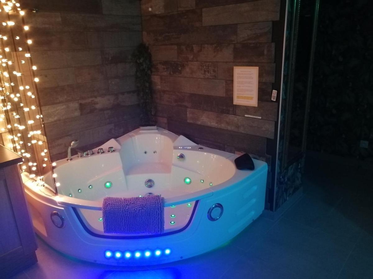 Romantisme Et Glamour 2 Avec Spa , Clim Et Jardin ディジョン エクステリア 写真