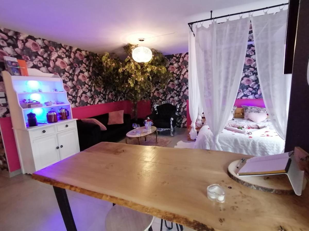Romantisme Et Glamour 2 Avec Spa , Clim Et Jardin ディジョン エクステリア 写真