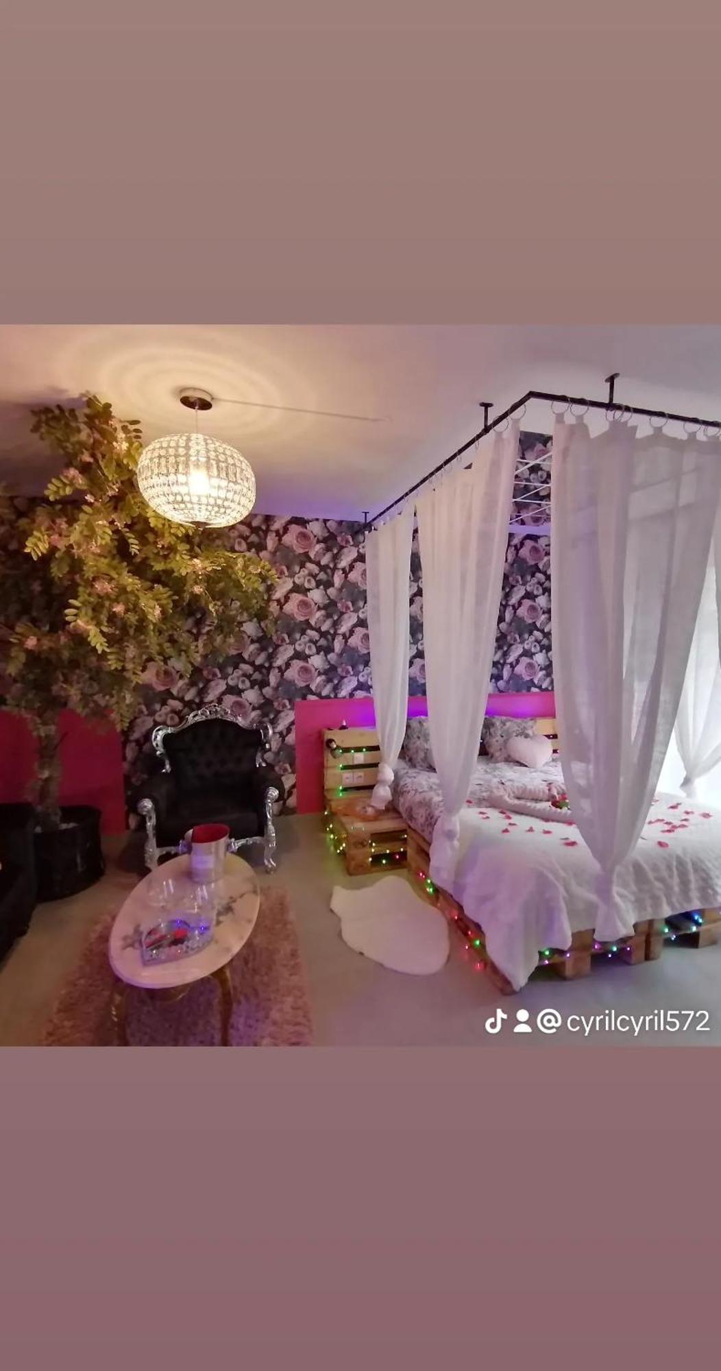 Romantisme Et Glamour 2 Avec Spa , Clim Et Jardin ディジョン エクステリア 写真
