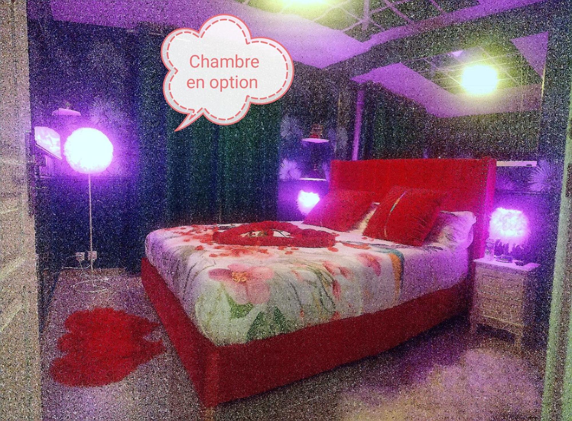 Romantisme Et Glamour 2 Avec Spa , Clim Et Jardin ディジョン エクステリア 写真
