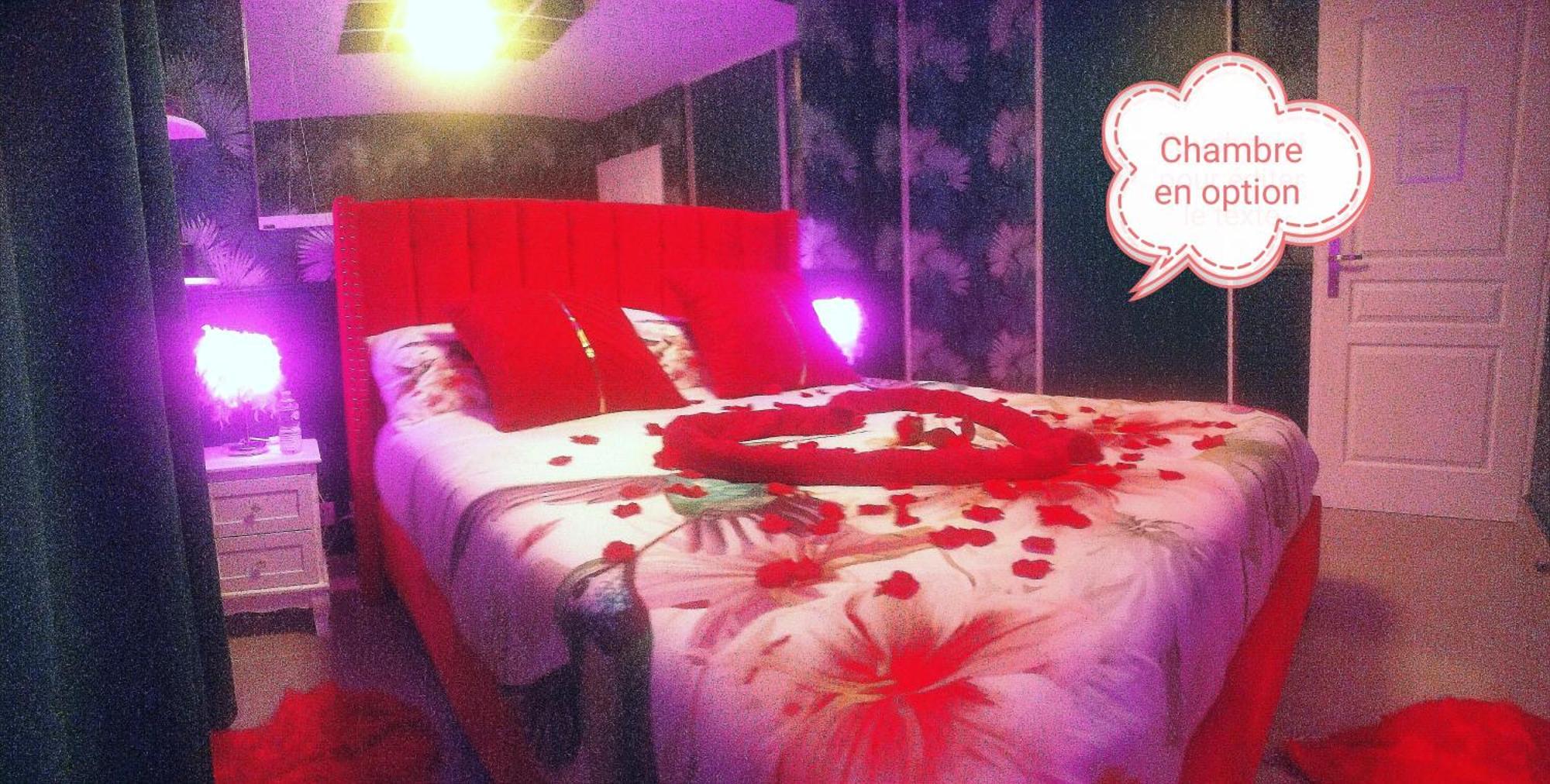 Romantisme Et Glamour 2 Avec Spa , Clim Et Jardin ディジョン エクステリア 写真