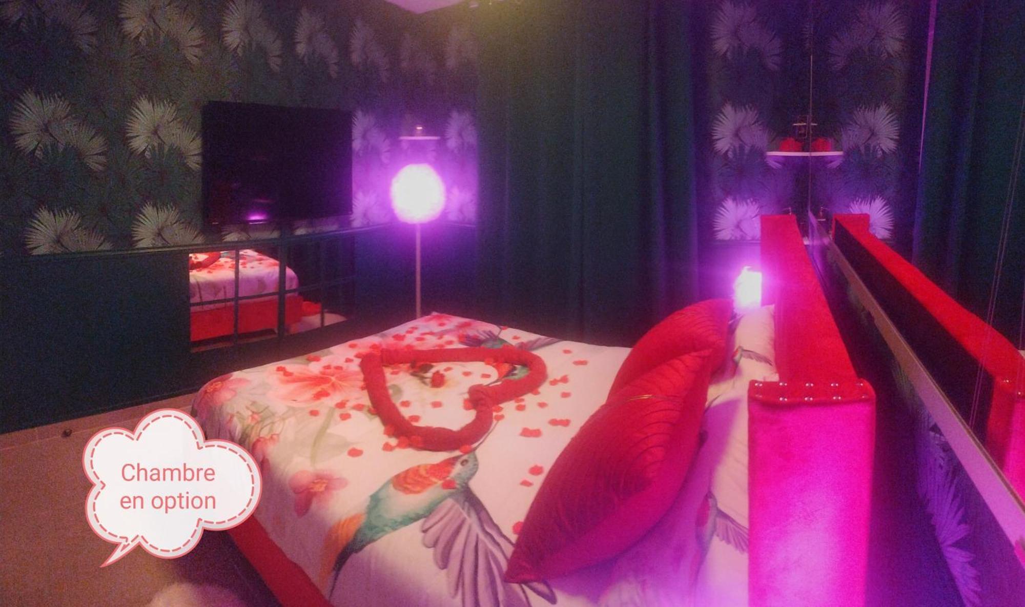 Romantisme Et Glamour 2 Avec Spa , Clim Et Jardin ディジョン エクステリア 写真