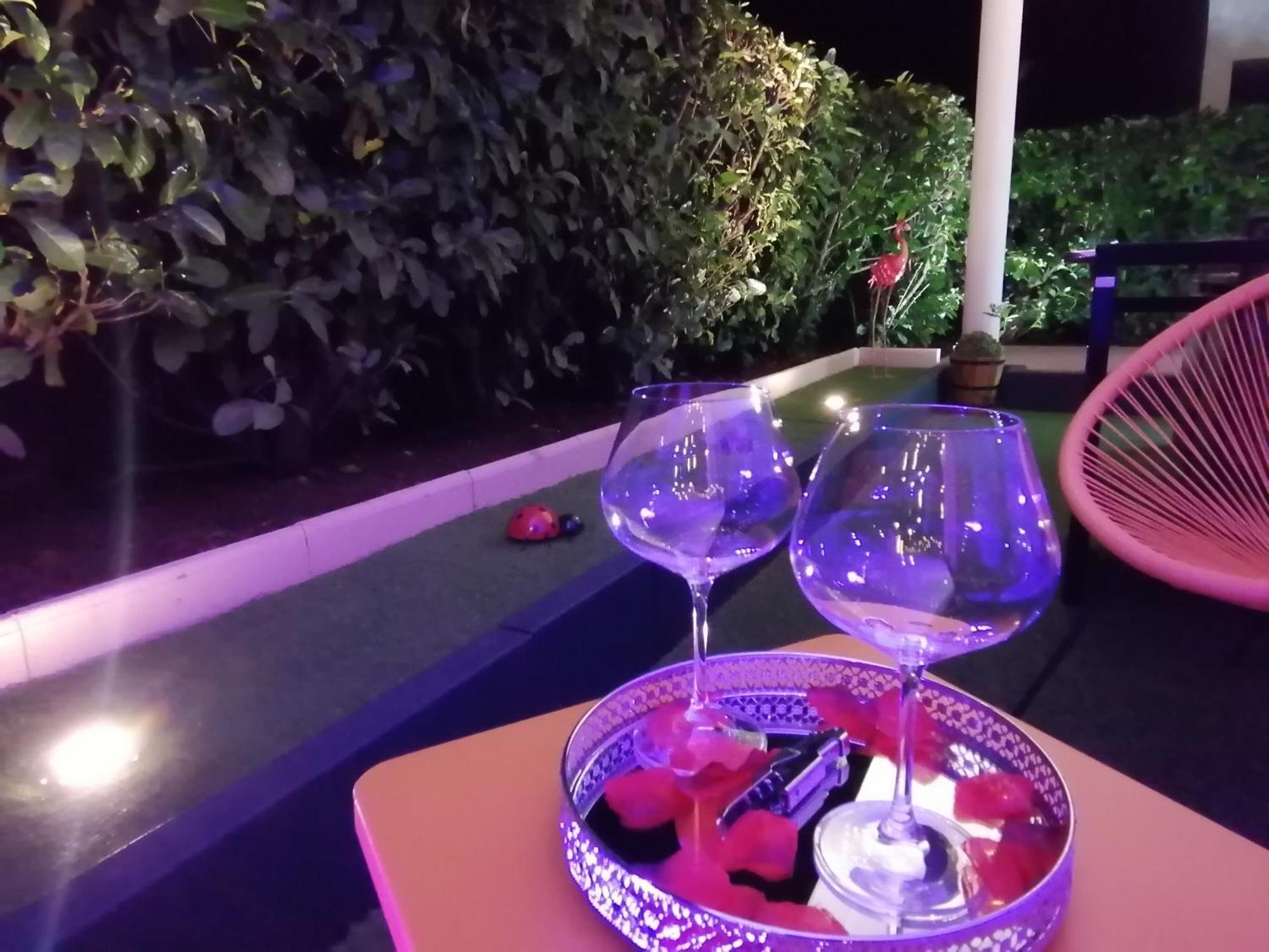 Romantisme Et Glamour 2 Avec Spa , Clim Et Jardin ディジョン 部屋 写真