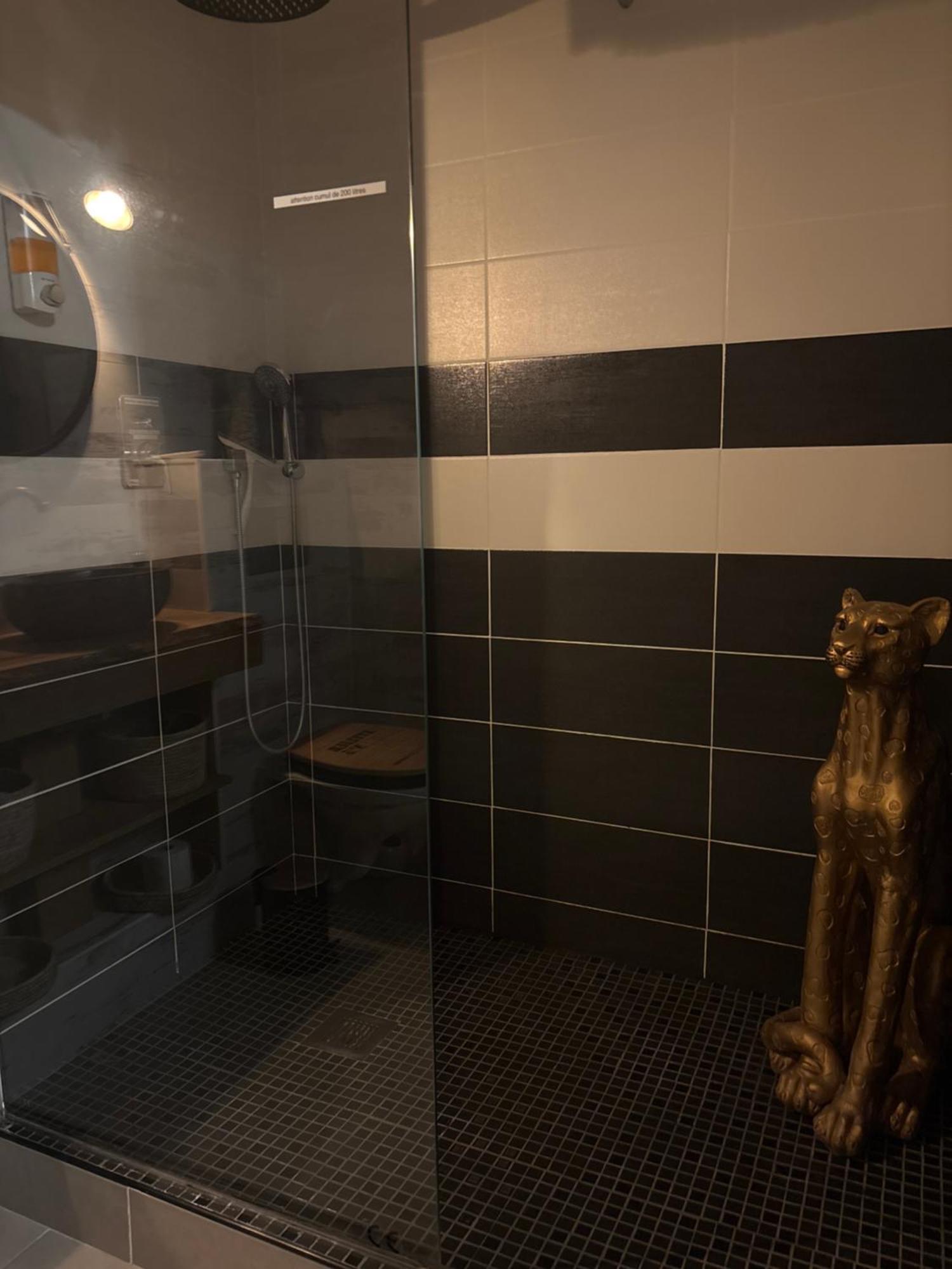 Romantisme Et Glamour 2 Avec Spa , Clim Et Jardin ディジョン エクステリア 写真